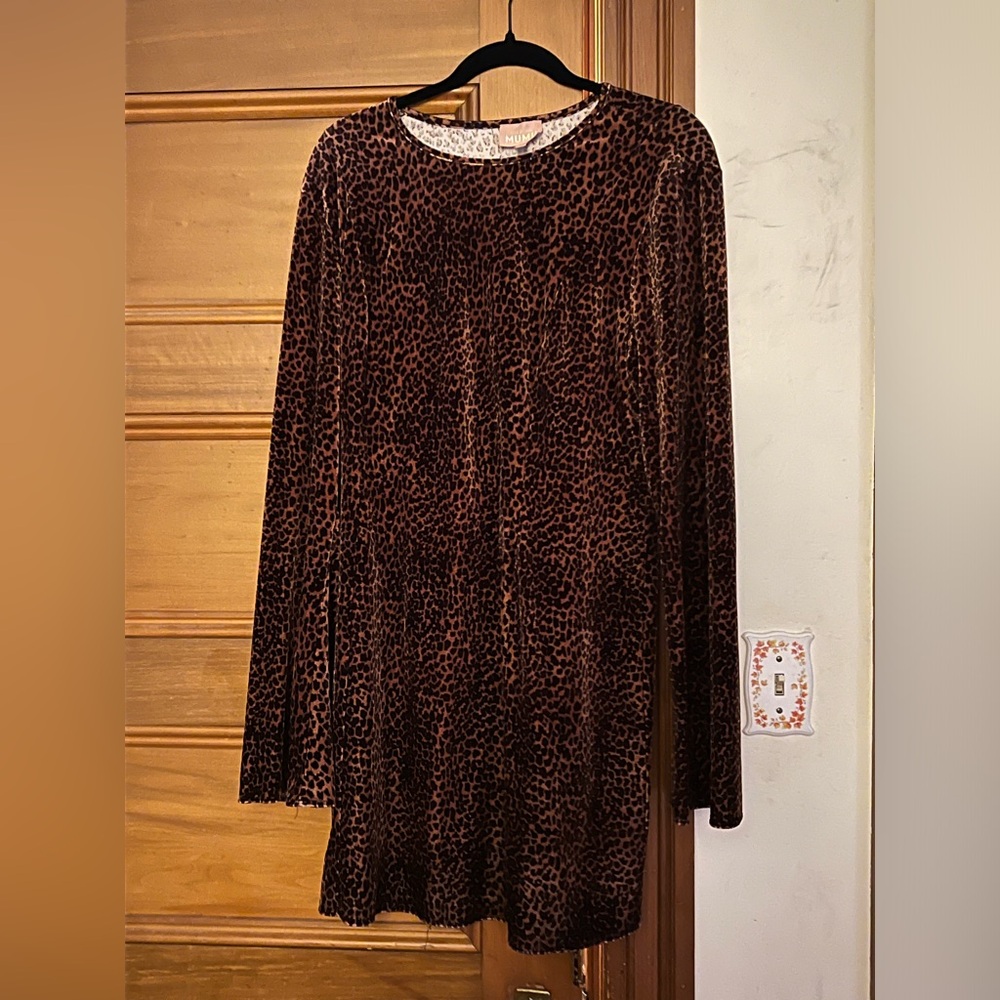 Show me you MuMu leopard velvet dress
